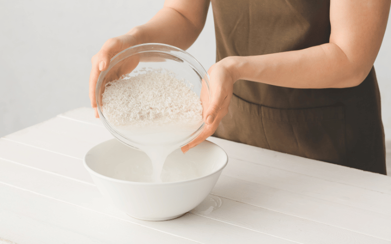 Fermented Rice Water Toner A DIY Skin Brightener with Anti-Aging Benefits